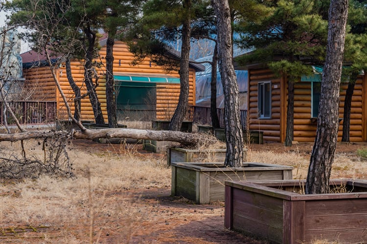 How to Build a Planter Box Around a Tree 1 tree planter box