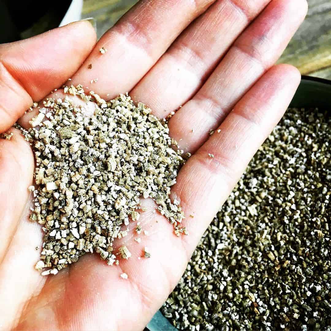 Make a DIY Self-Watering Planter Box Without Engineering PhD 3 vermiculite