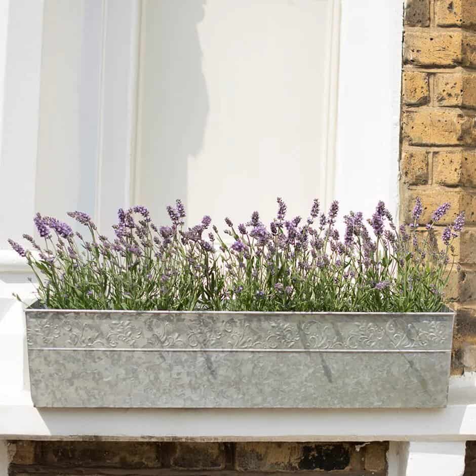 windowsill galvanized planter box