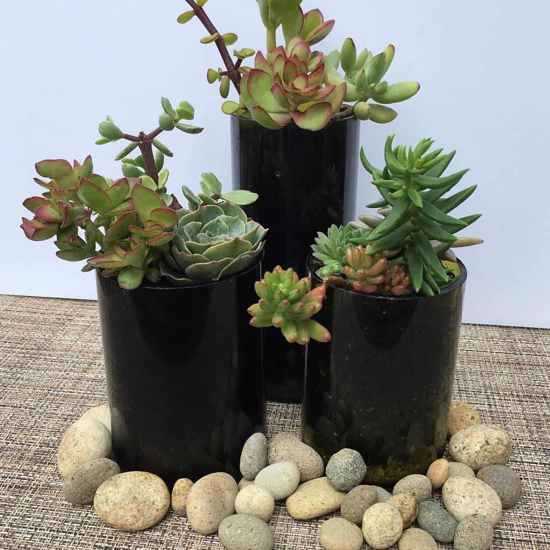 How to Choose the Best Planter Box for Succulents: 8 Ideas 4 wine bottles succulent planters