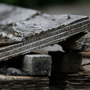 wood planter box rot
