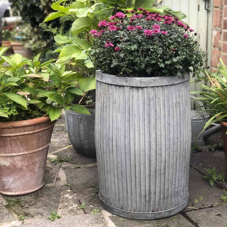 zinc dolly tub planter