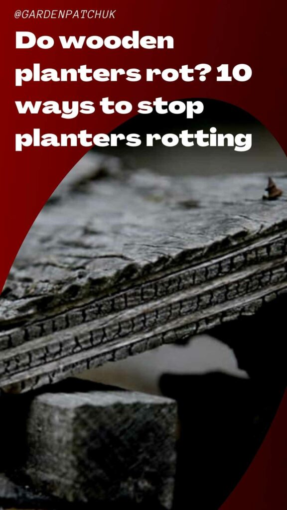 Do wooden planters rot 10 ways to stop planters rotting-min