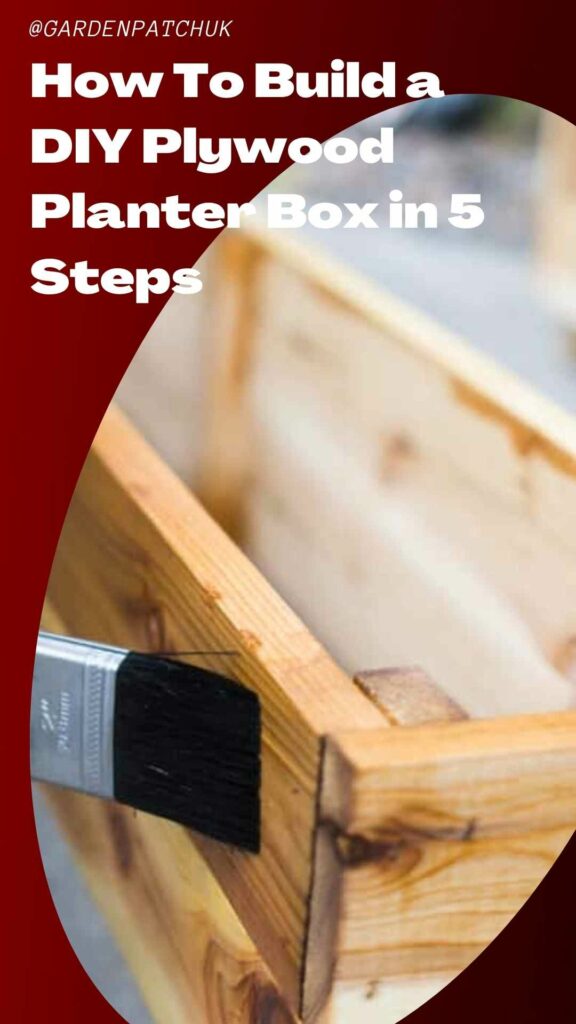 How To Build a DIY Plywood Planter Box in 5 Steps-min