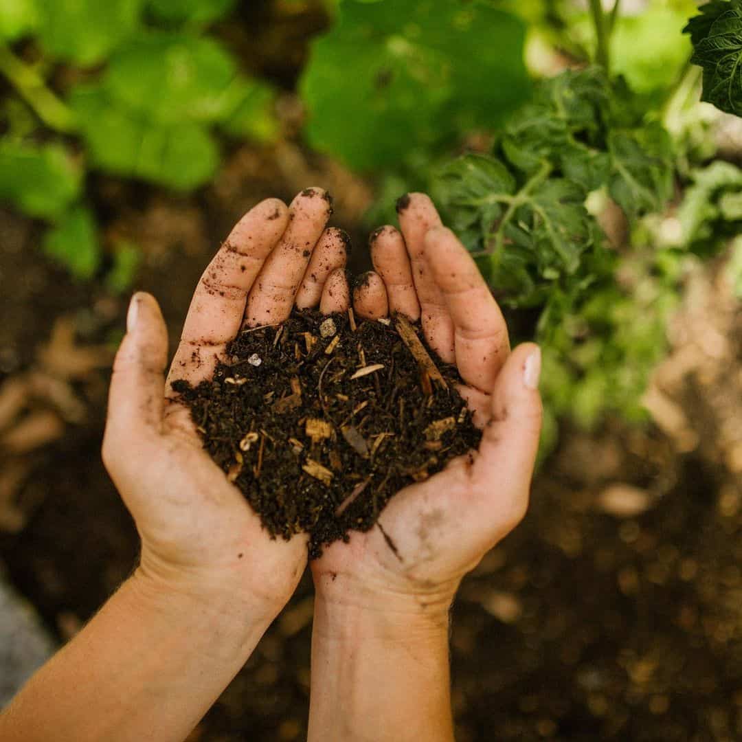 add organic matter to the soil