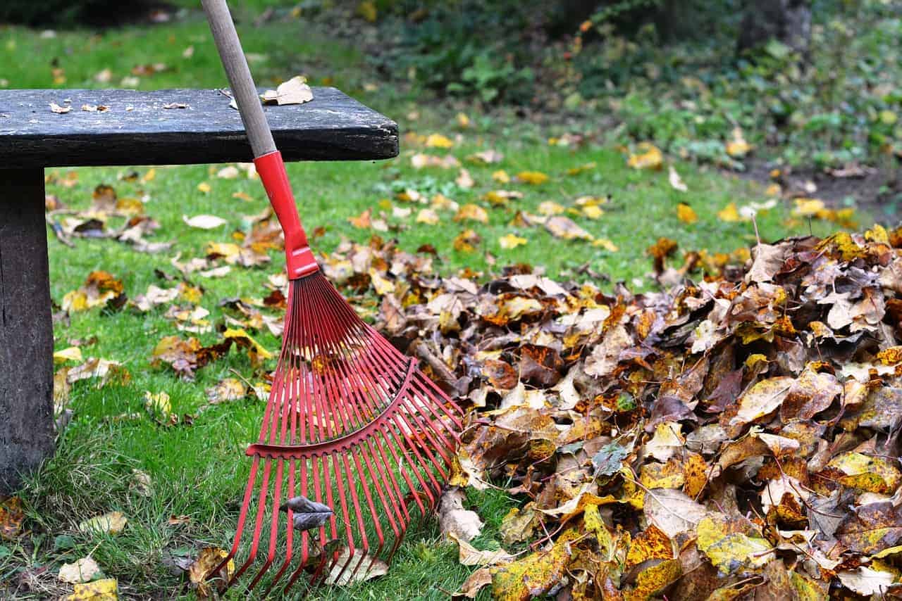 autumn garden clean up tips