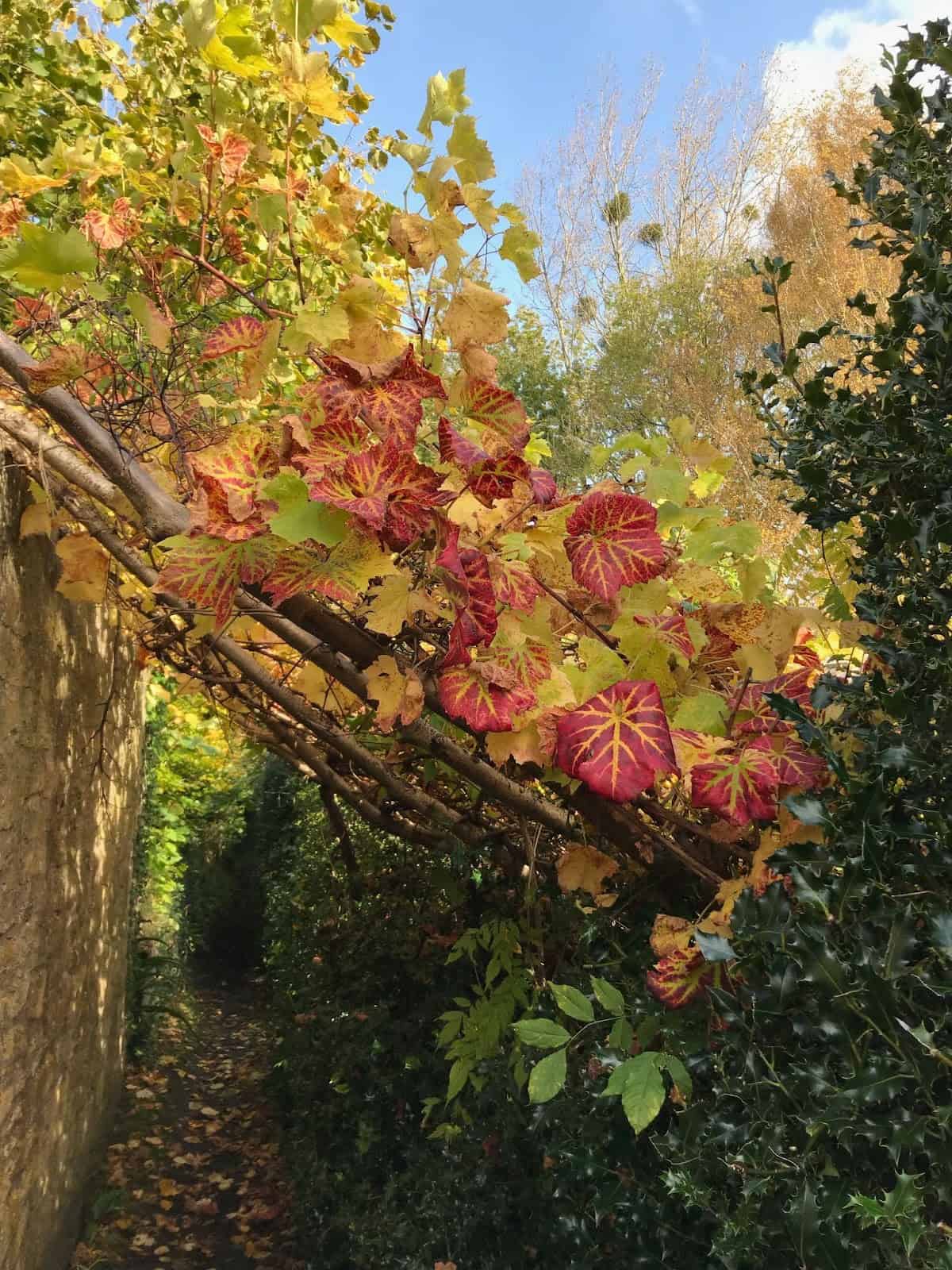 10 Autumn Garden Jobs to Do Right Now 2 autumn garden jobs