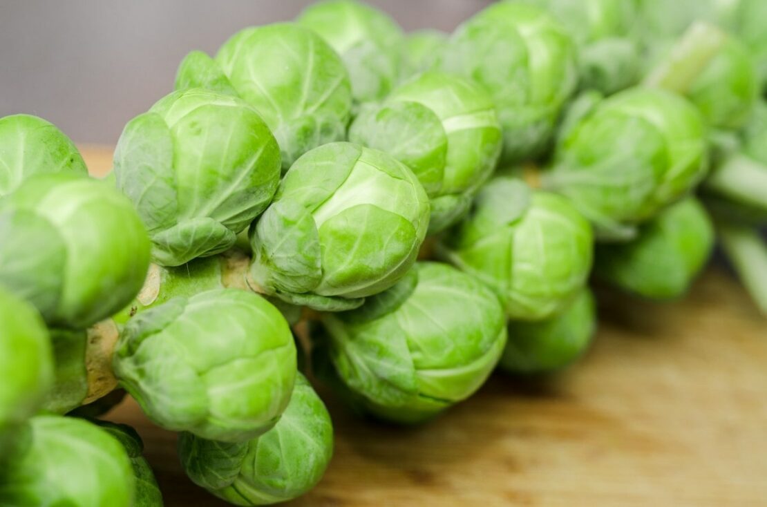 brussel sprouts winter vegetable