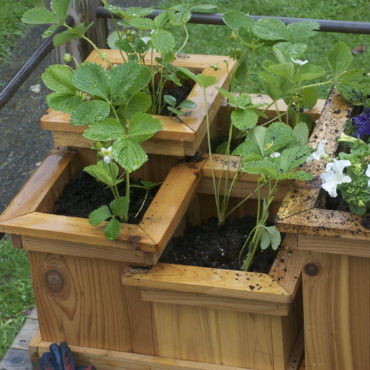 build a tiered planter box