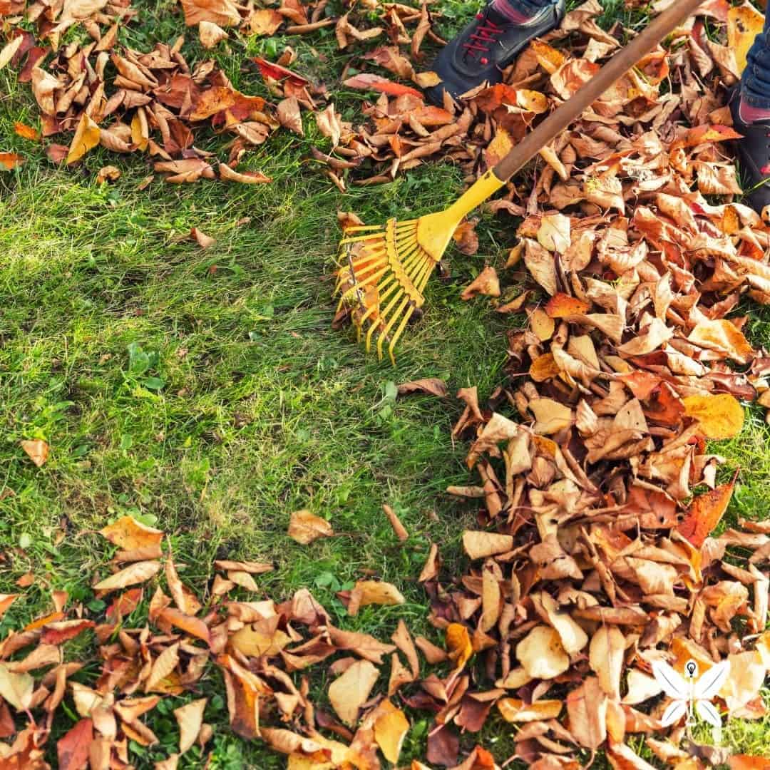 10 Autumn Garden Jobs to Do Right Now 3 clean up and tidy