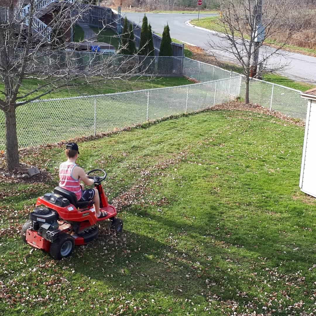 cutting grass for winter