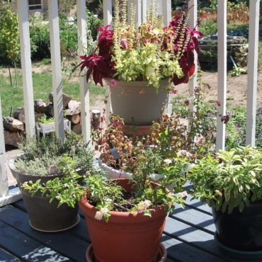 deck planter box ideas