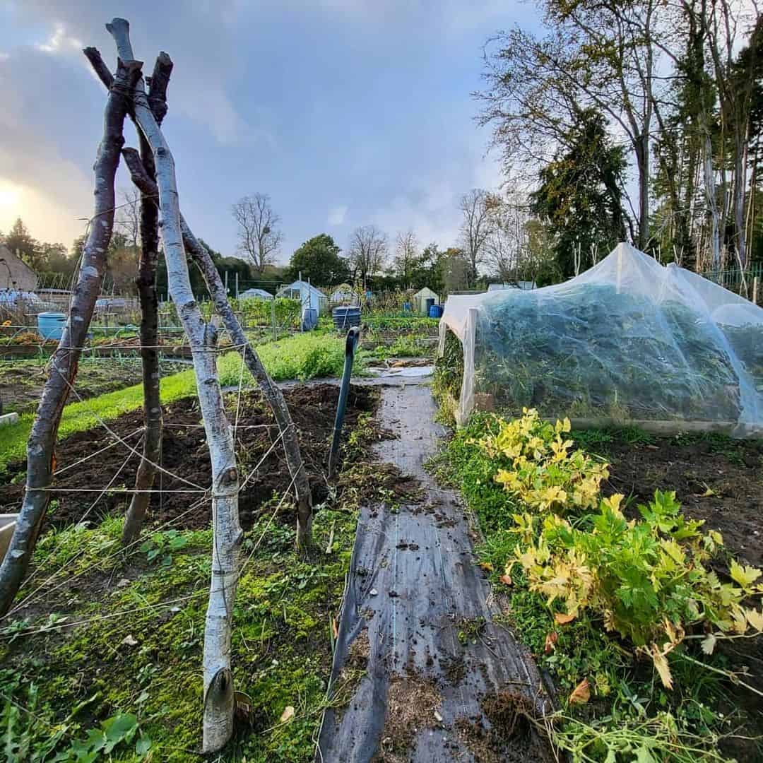 greenhouse autumn winter garden