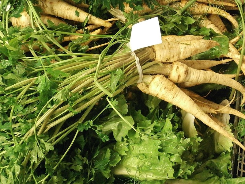 parsnips winter vegetable