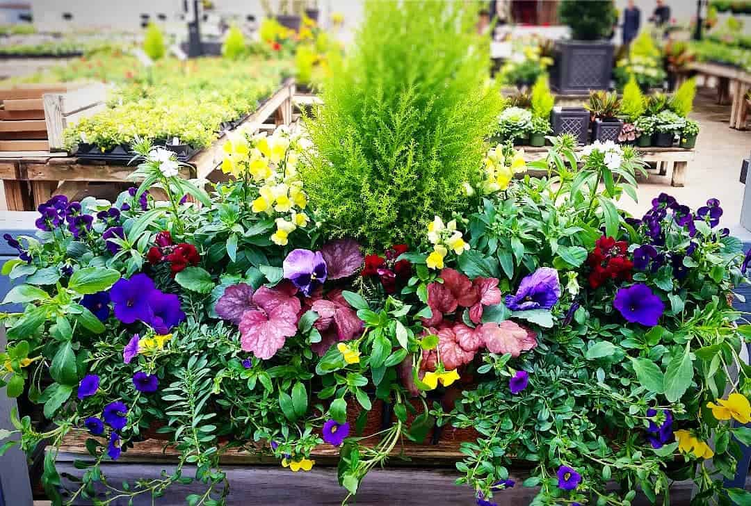 Do Wooden Planters Need Drainage Holes? Yes! 1 planter box drainage