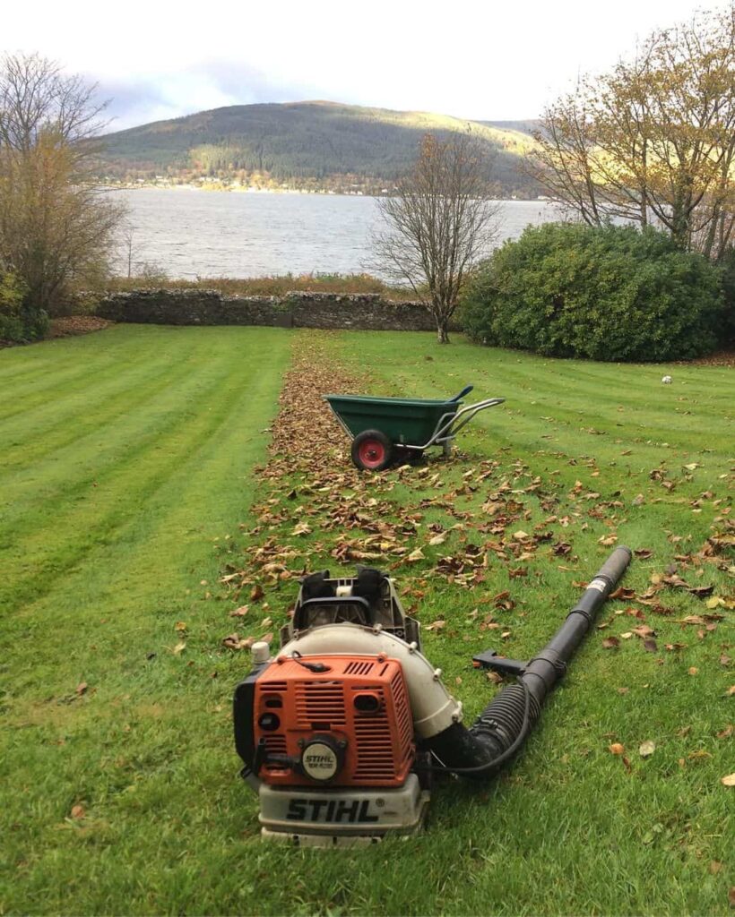 Should You Get Rid of Worm Castings on the Lawn? Maybe! (and how-to) 6 raking leaves