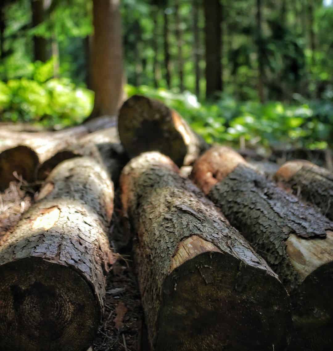 sustainable wood source