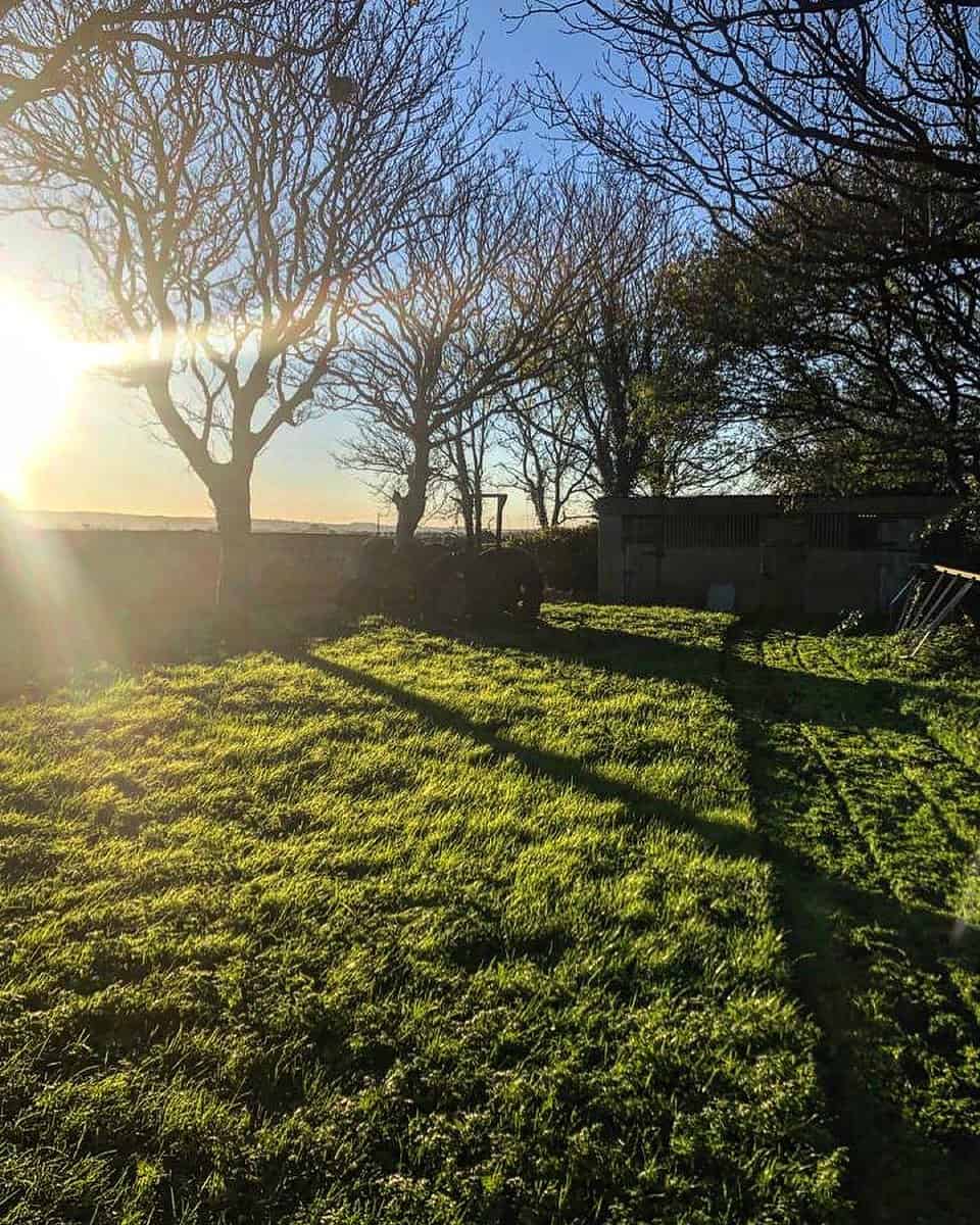 10 Autumn Garden Jobs to Do Right Now 9 the final cut