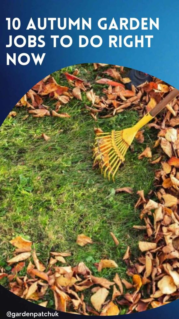 10 Autumn Garden Jobs to Do Right Now 10 10 AUTUMN GARDEN JOBS TO DO RIGHT NOW-min
