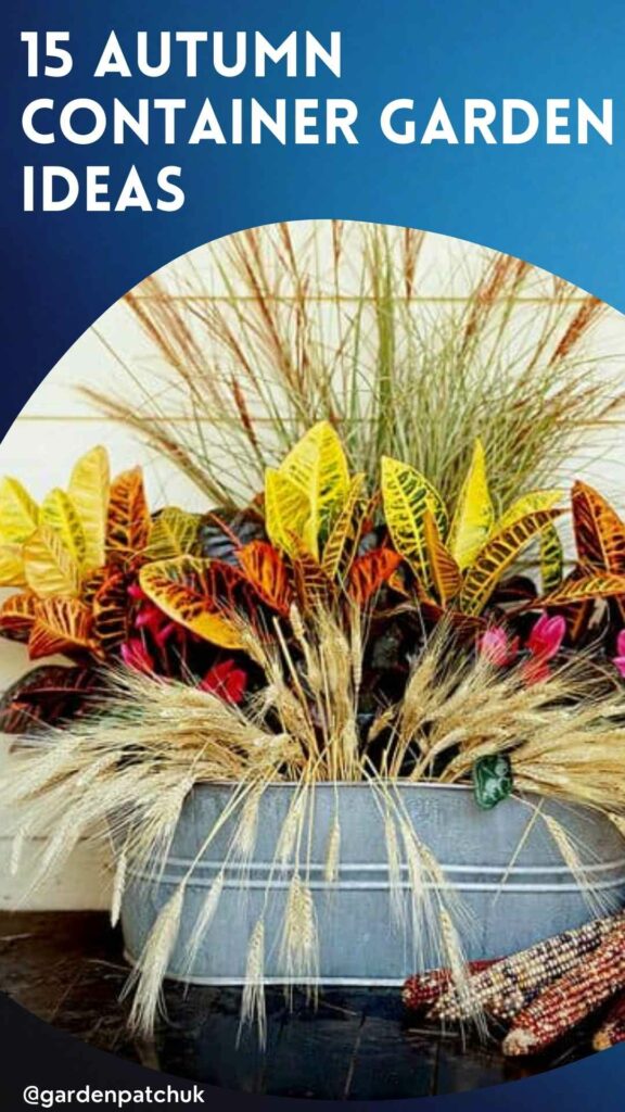 15 AUTUMN CONTAINER GARDEN IDEAS-min