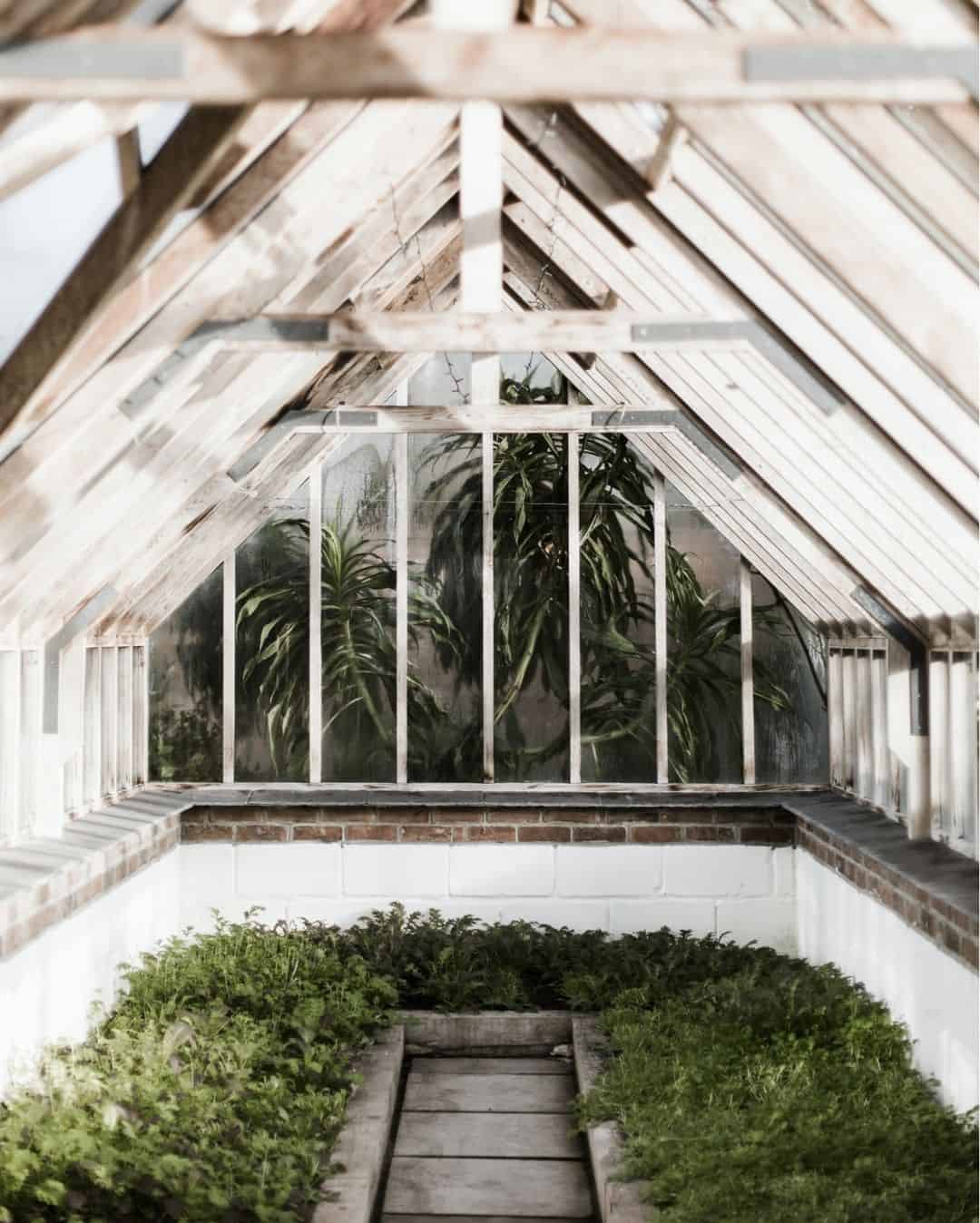 Greenhouse Winter Vegetables