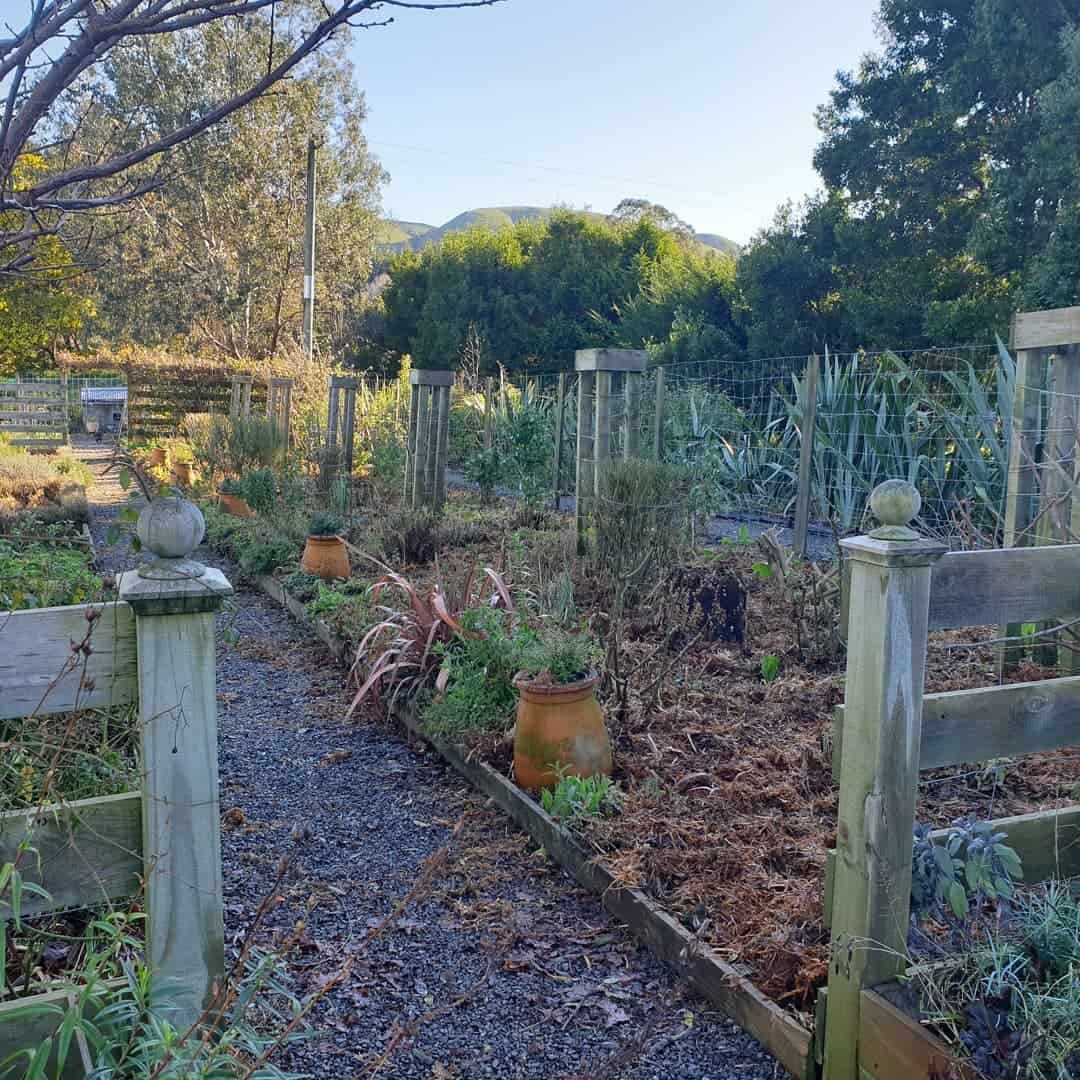 autumn tidy garden tips