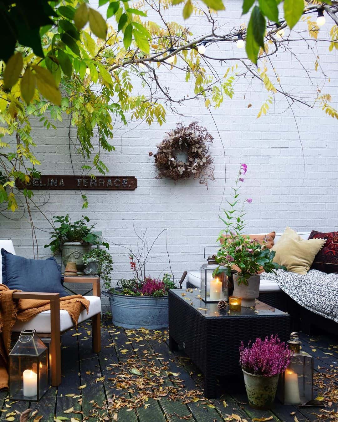 cozy autumn garden