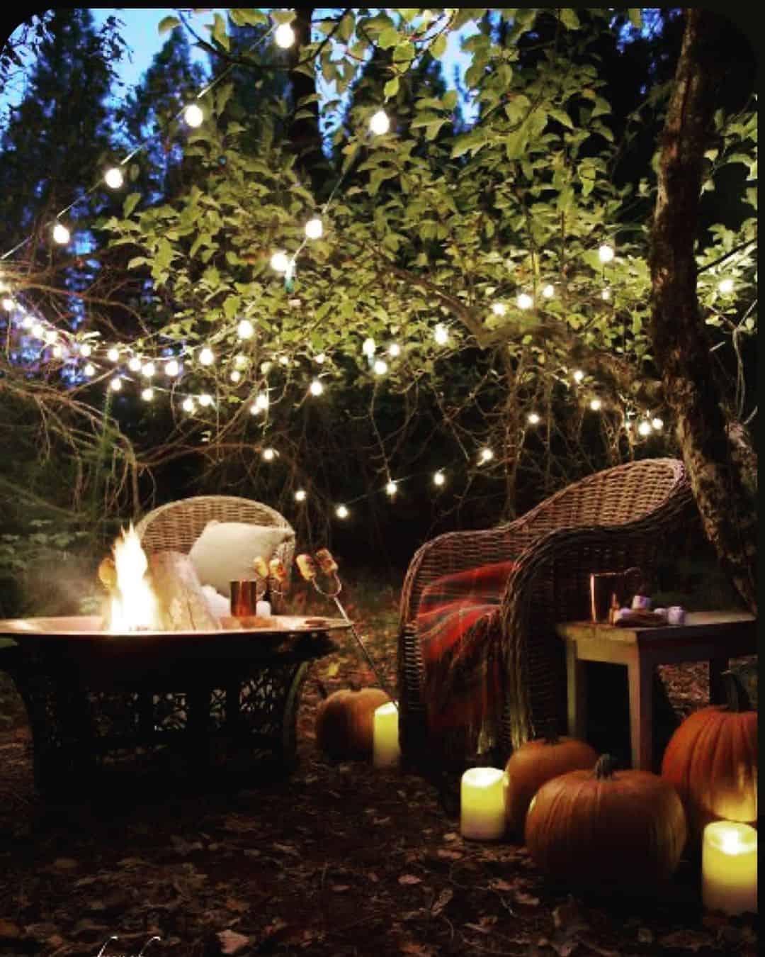 fairy lights autumn garden tips