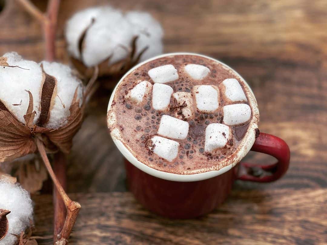 gingerbread hot chocolate
