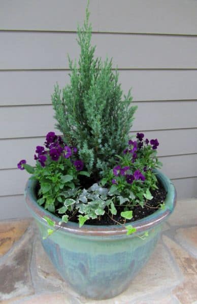 greens with purples in a wide glazed container