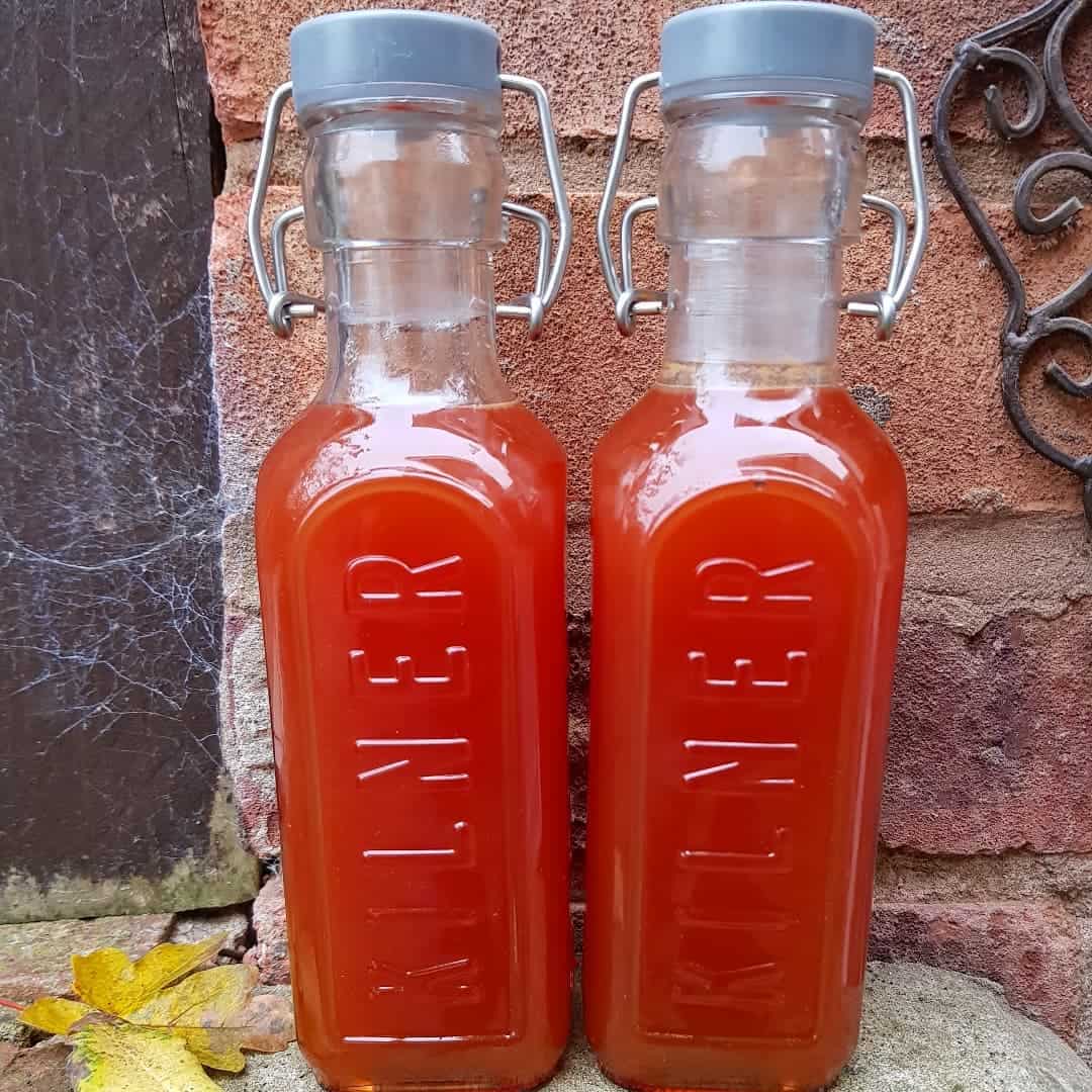 rose hip syrup