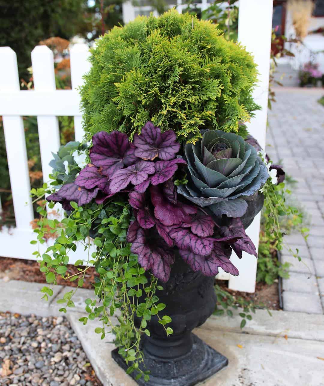 vintage urn with evergreens
