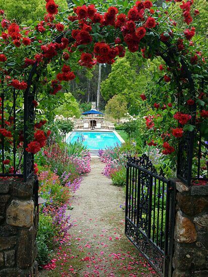 Cover a garden gate in roses