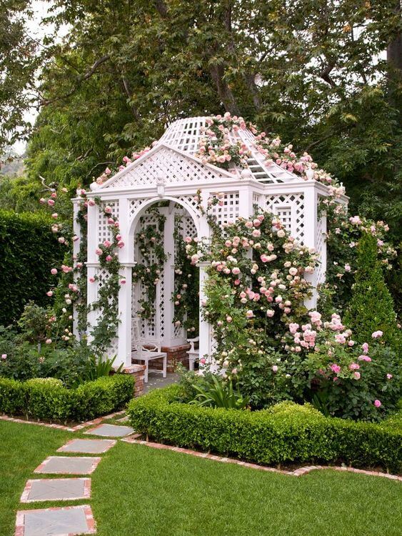 Cover your gazebo with roses