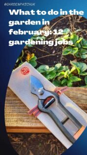 What to do in the garden in february 12 gardening jobs-min