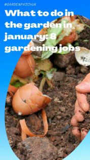 What to do in the garden in january 8 gardening jobs-min