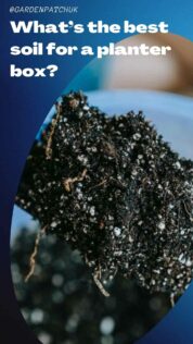 What’s the Best Soil for a Planter Box? 8 What’s the best soil for a planter box-min
