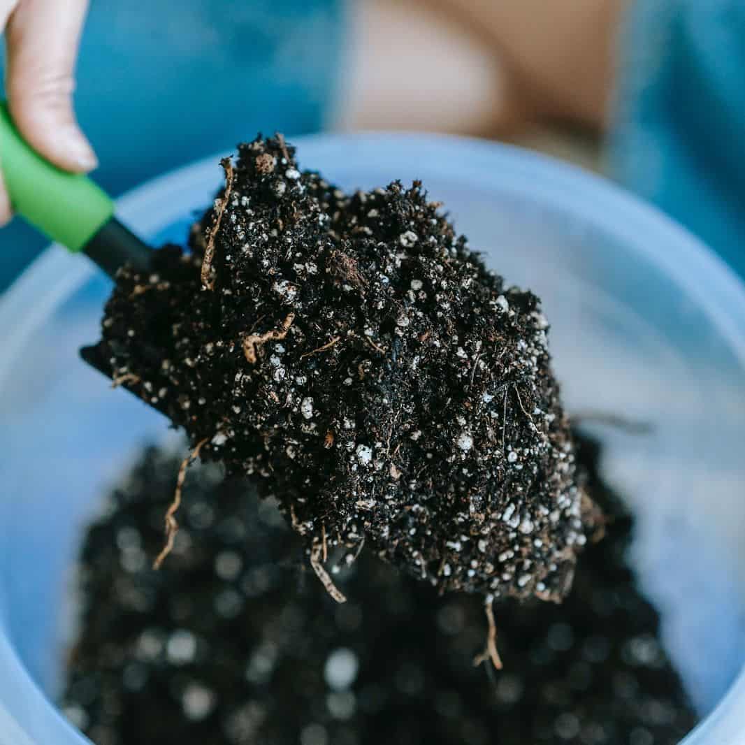 What’s the Best Soil for a Planter Box? 1 best soil for a planter box