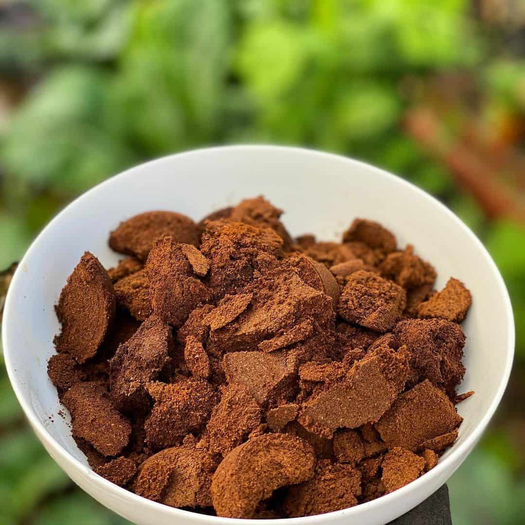 What’s the Best Soil for a Planter Box? 7 coffee grounds in garden