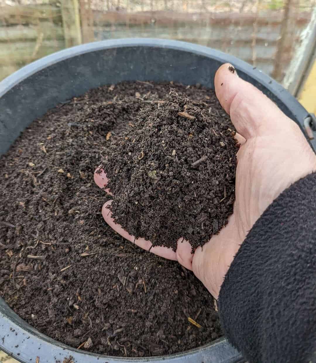 compost in hand