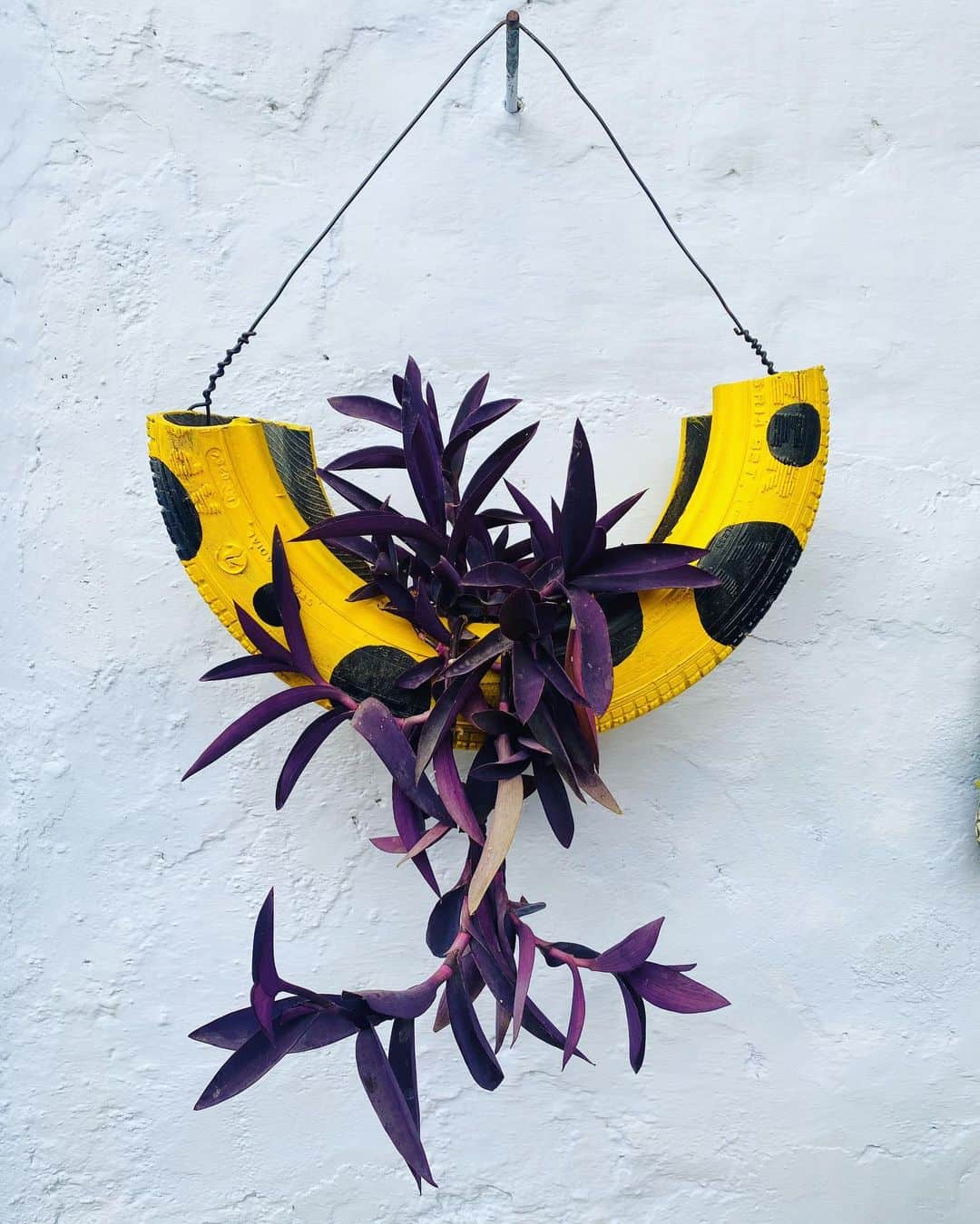 half tyre flower pot