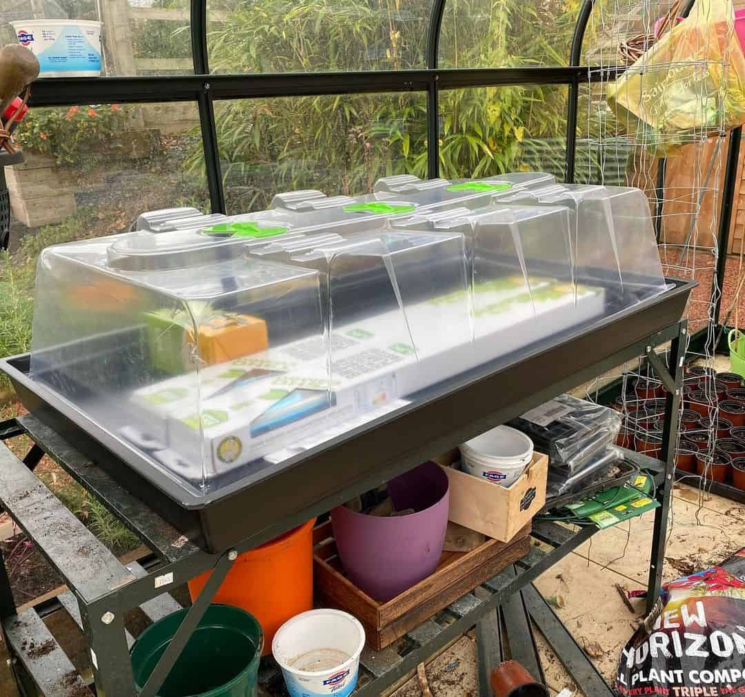 heated propagator with lights