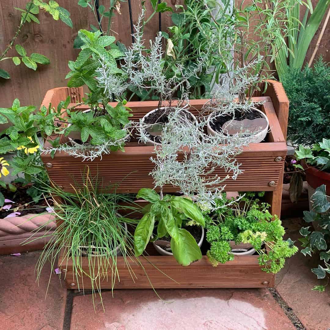 What’s the Best Soil for a Planter Box? 6 herbs in different soil