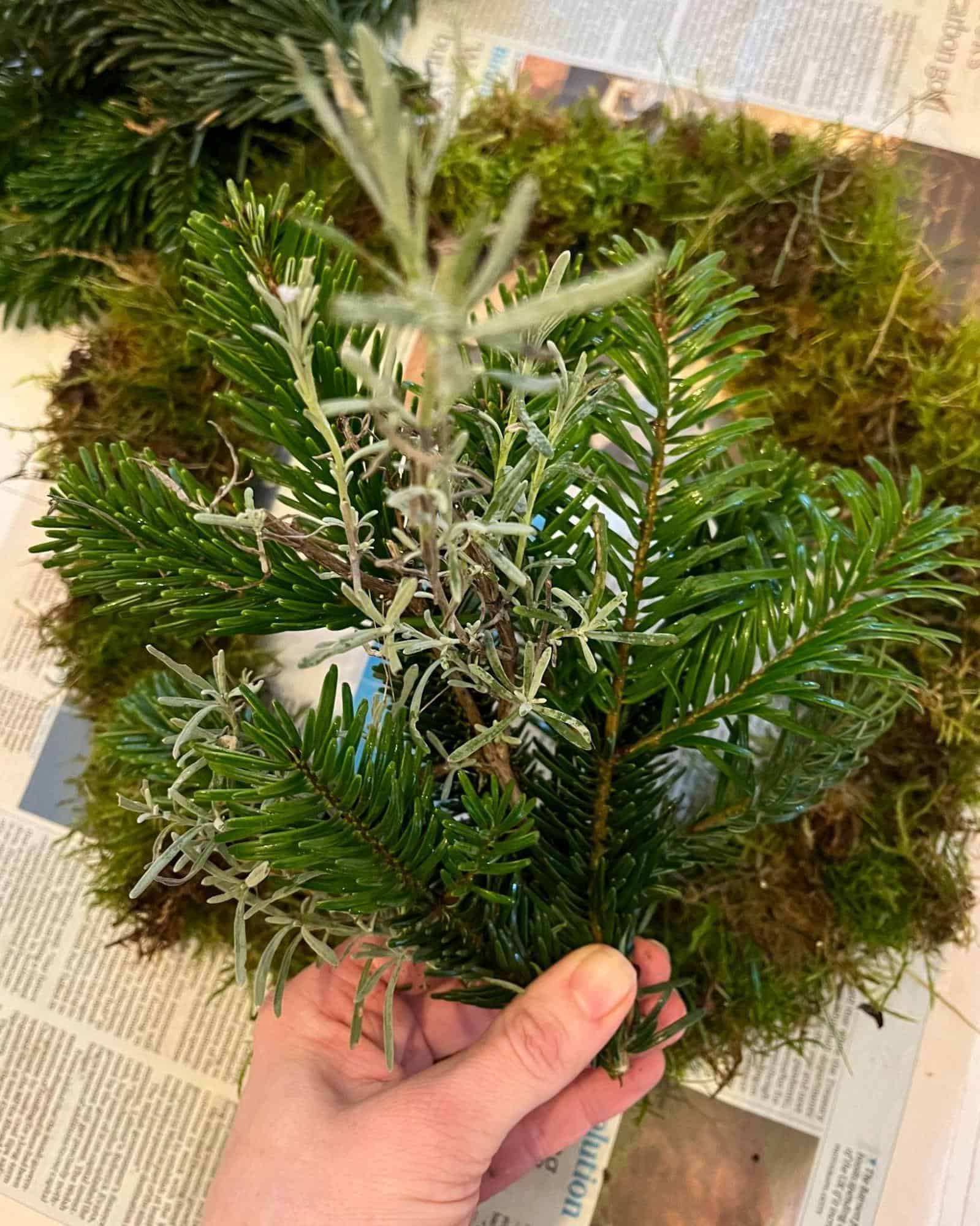 How to Make an Autumn Wreath in 5 Steps (& Budget Options) 4 step 2