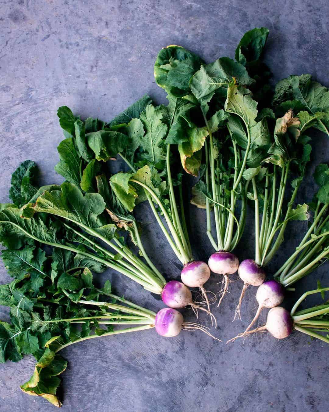 turnips spring garden