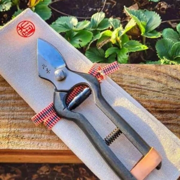 what to do in the garden in february