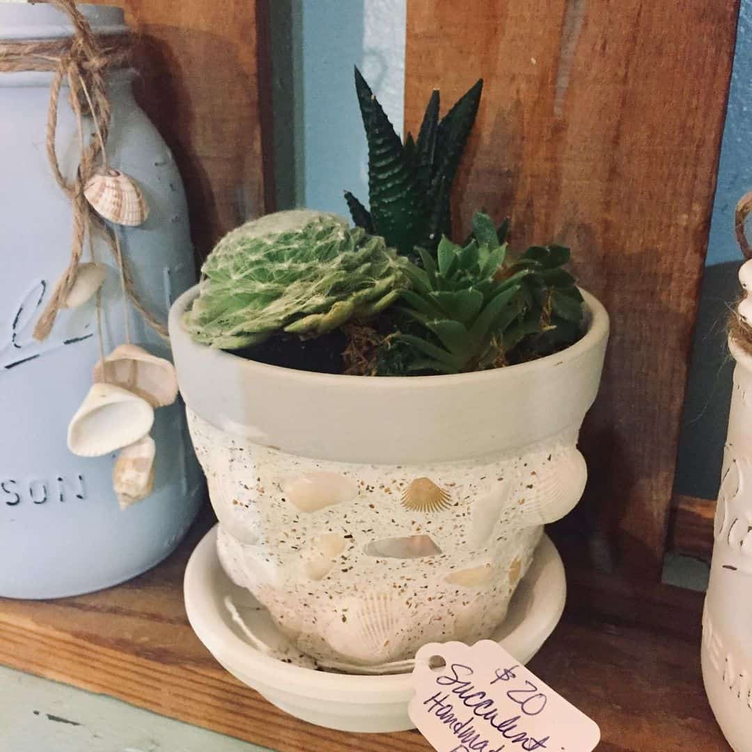 How to Decorate a Flower Pot (4 Methods) 3 3d shell decoration flower pot