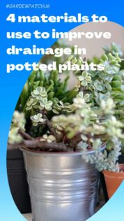 4 Materials to Use to Improve Drainage in Potted Plants 11 4 materials to use to improve drainage in potted plants-min