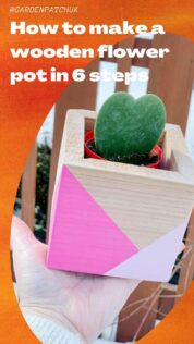 How to make a wooden flower pot in 6 steps