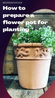 How to Prepare a Flower Pot for Planting 7 How to prepare a flower pot for planting